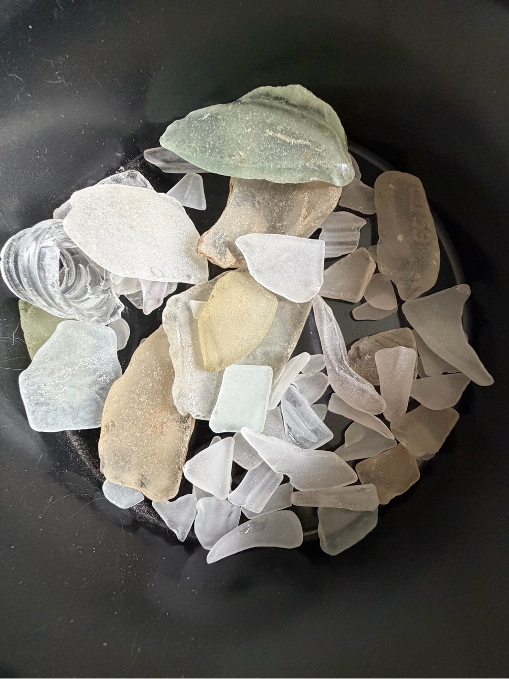 Maine Sea Glass Collection - Assorted Pastel Tones